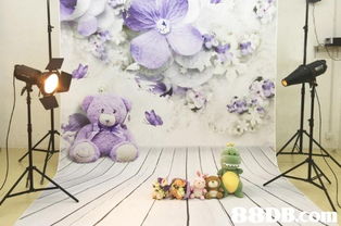 人像摄影的搜寻结果 摄影服务 摄影师 婚纱摄影 婚宴摄影 家庭摄影服务 商品摄影 人像摄影 婚礼录影 儿童摄影 影毕业相 摄影服务 摄影师 婚纱摄影 婚宴摄影