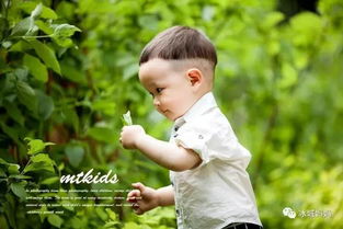 购 夏日来袭边玩边拍,399元享高端外景儿童摄影,底片全送