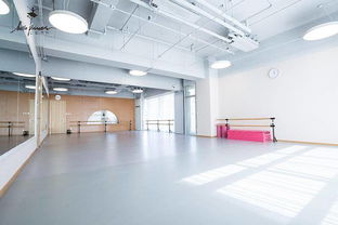 公主 霓好880元精品舞蹈课 德斯贝尔1588元儿童拍摄 在线订票 互动吧