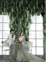 厂家直销儿童服装 道具 婴儿服装 摄影背景[供应]_光学摄影器材_世界工厂网中国产品信息库