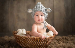 贝尚宝贝198元儿童摄影